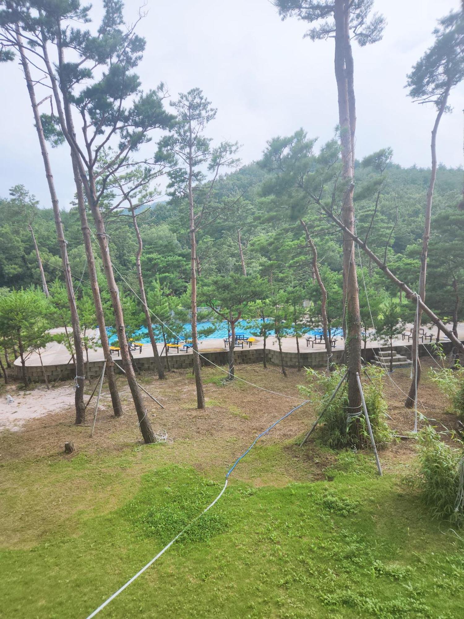 Sokcho Daemyung Heidi Pension Eksteriør bilde