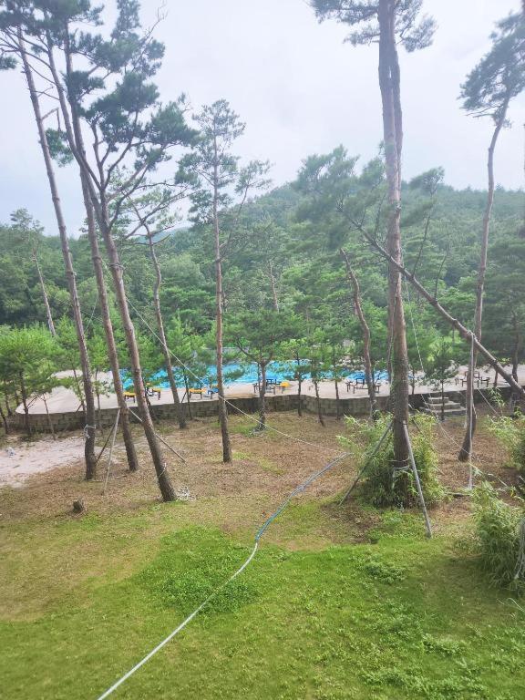 Sokcho Daemyung Heidi Pension Eksteriør bilde
